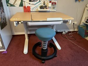 FlexiSpot SD2 im Test - elektrischer Schreibtisch für Kinder