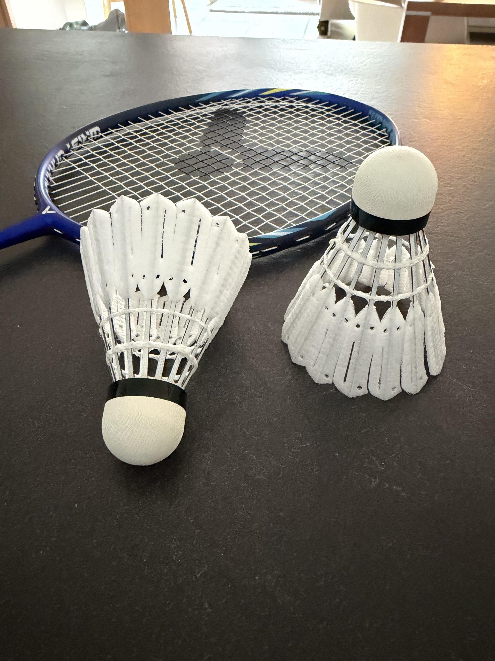 Victor New Carbonsonic Pro im Test