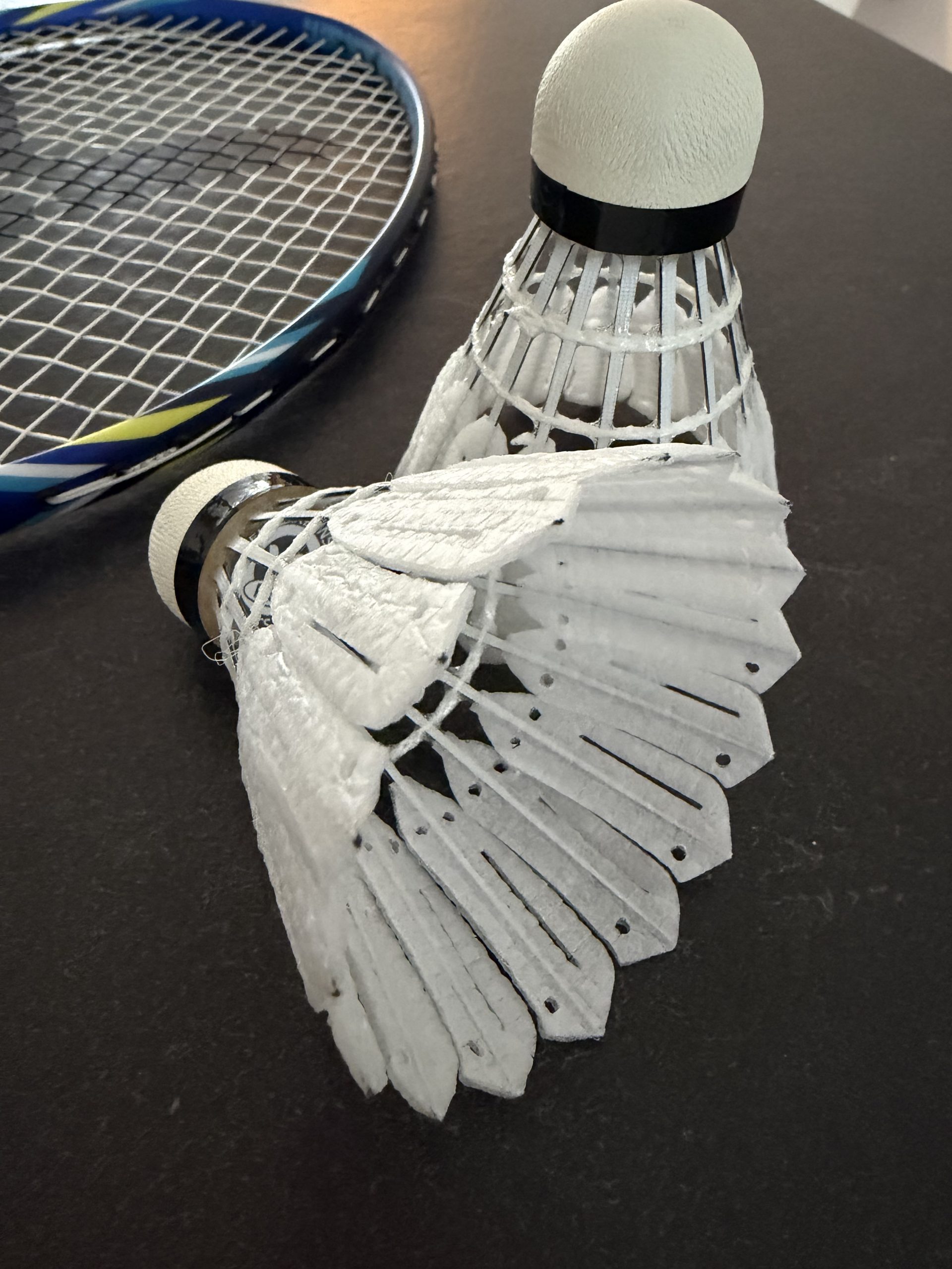 Victor New Carbonsonic Pro im Test