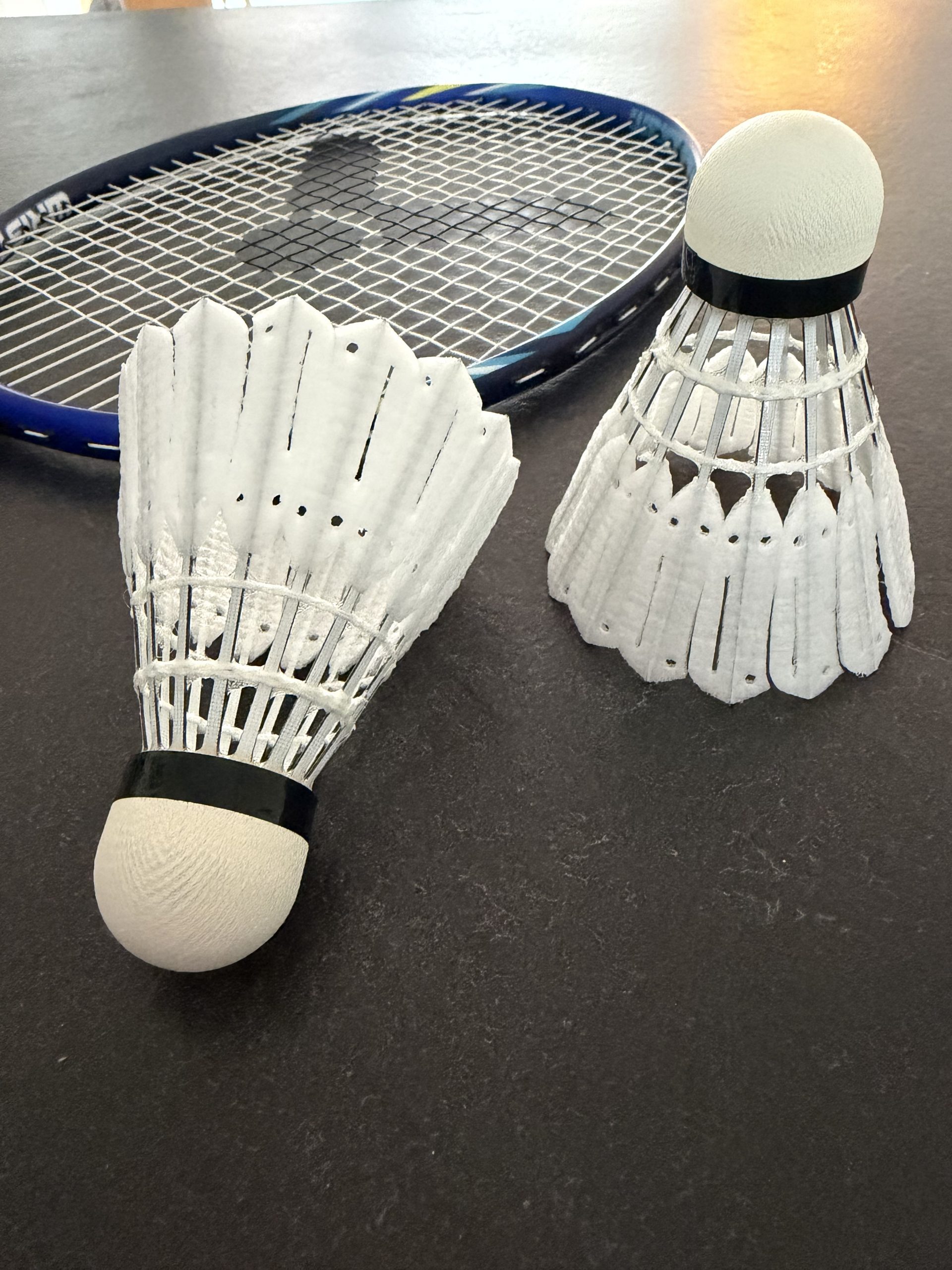 Victor New Carbonsonic Pro im Test