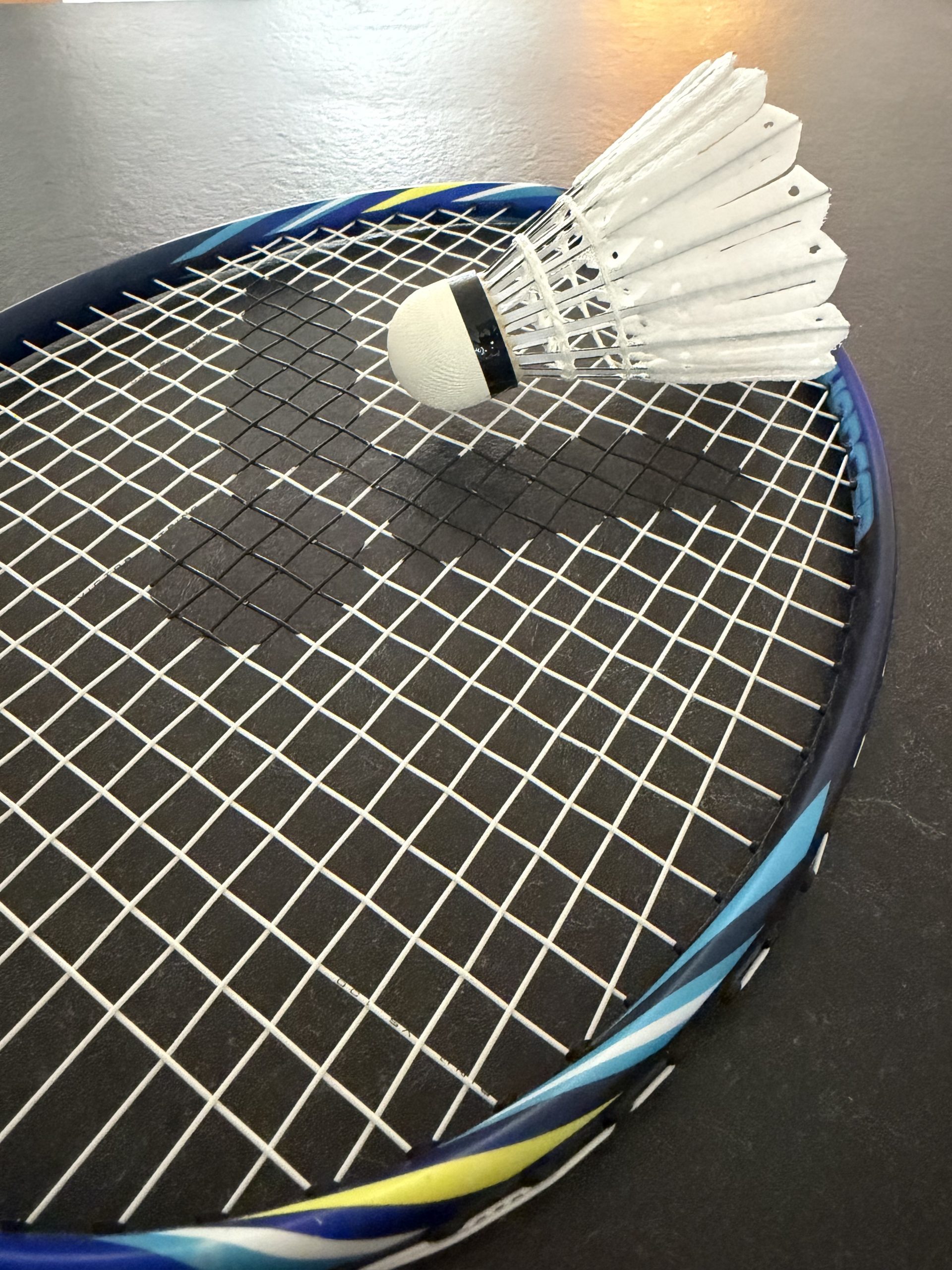 Victor New Carbonsonic Pro im Test