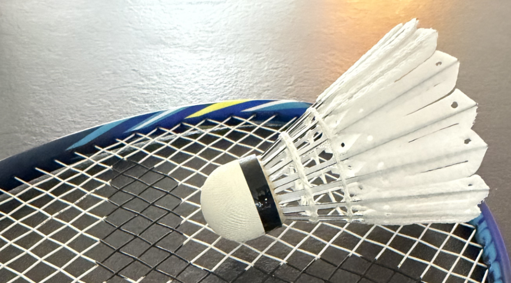 Victor New Carbonsonic Pro im Test