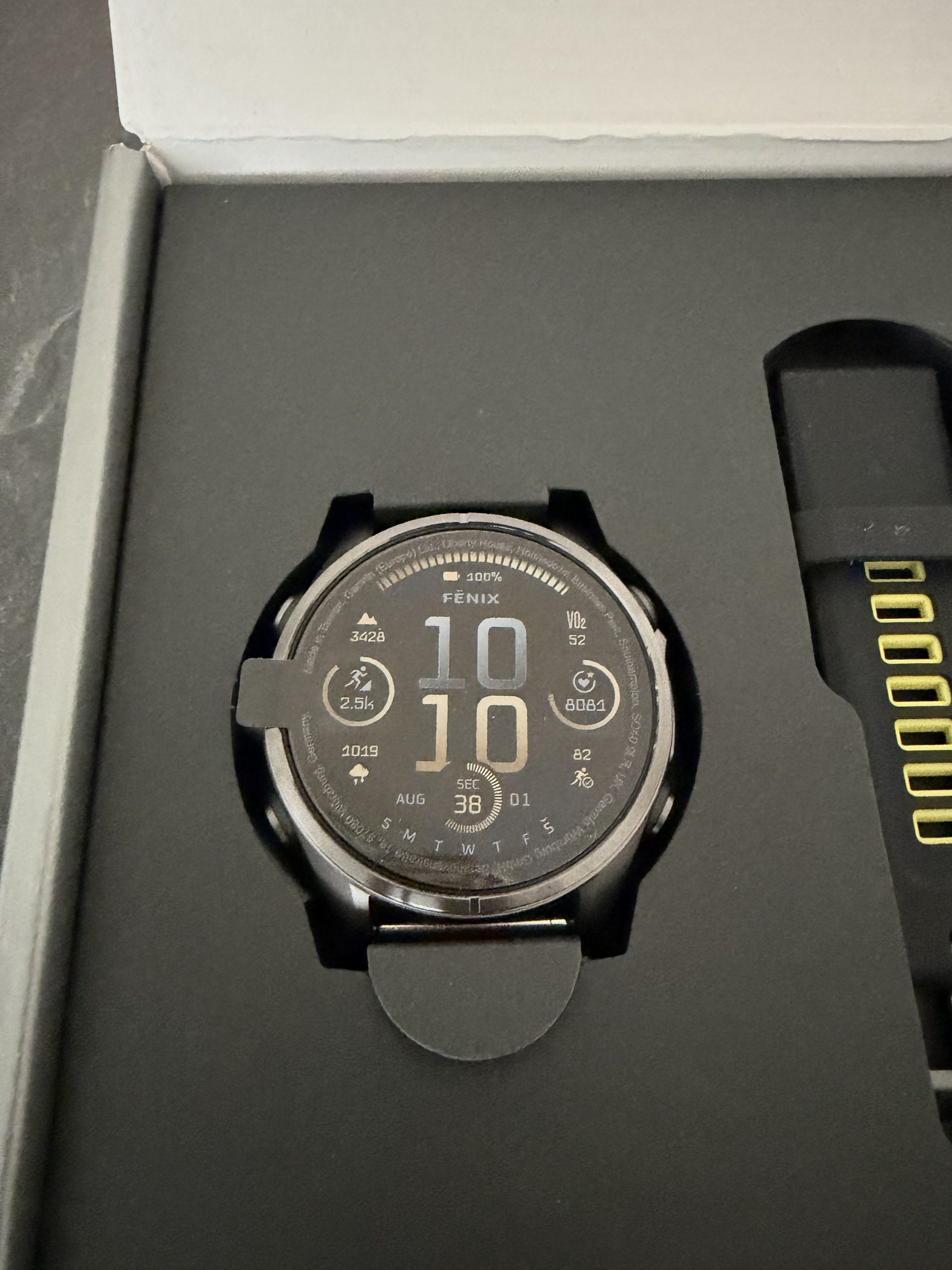 Garmin Fenix 8 mit Silikonarmband