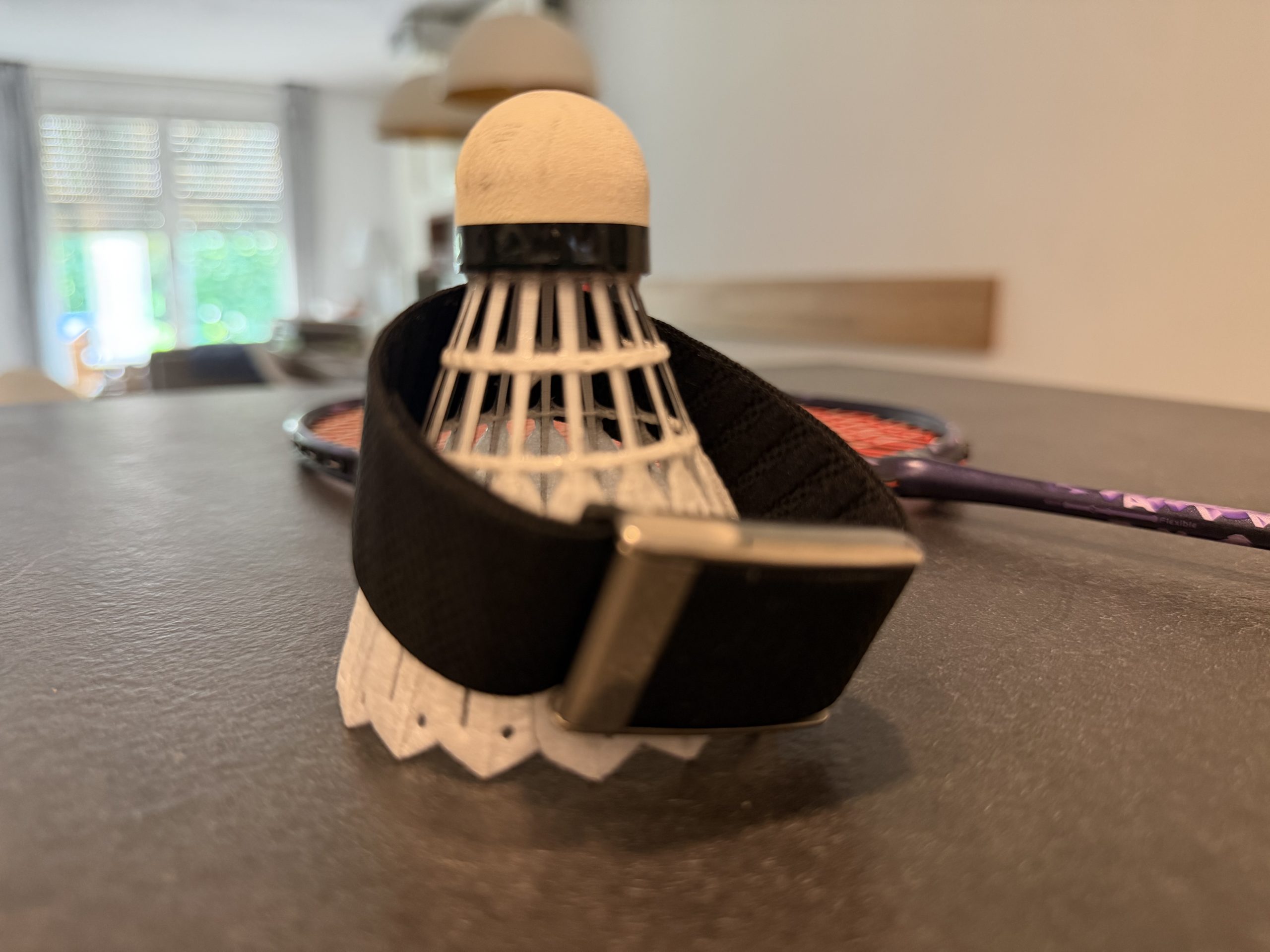 Badminton und Whoop im Test